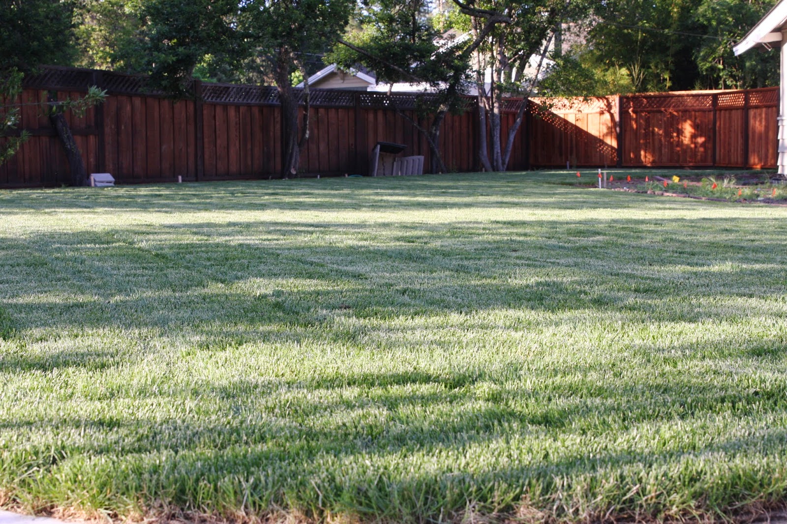 Outdoor Update: Grass In The Front Yard - Finally! - simply organized