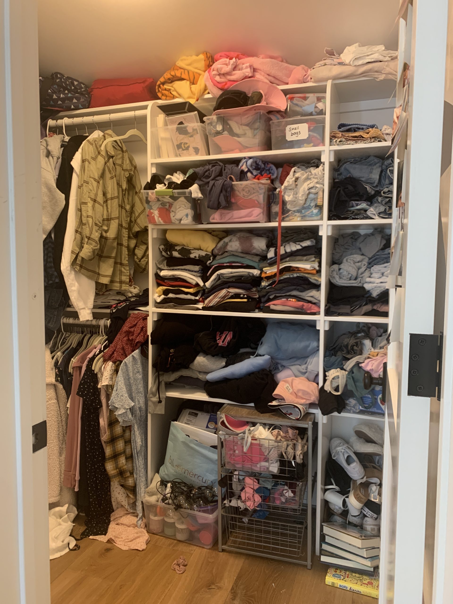 Simply Done: Organized Apartment Closets - Simply Organized